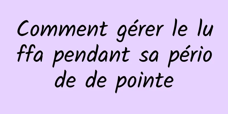 Comment gérer le luffa pendant sa période de pointe