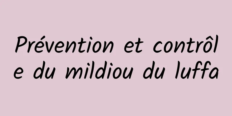 Prévention et contrôle du mildiou du luffa