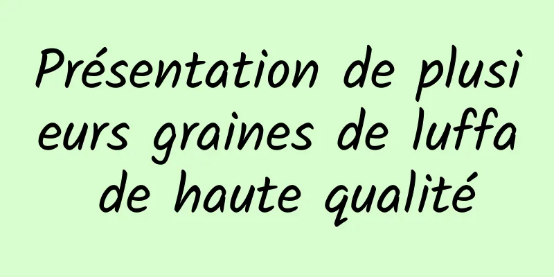 Présentation de plusieurs graines de luffa de haute qualité