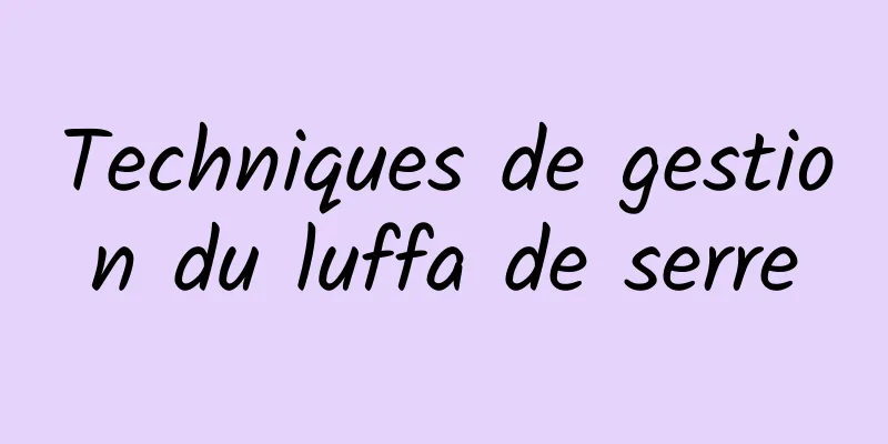 Techniques de gestion du luffa de serre