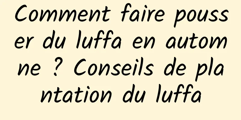 Comment faire pousser du luffa en automne ? Conseils de plantation du luffa