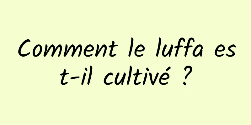 Comment le luffa est-il cultivé ?