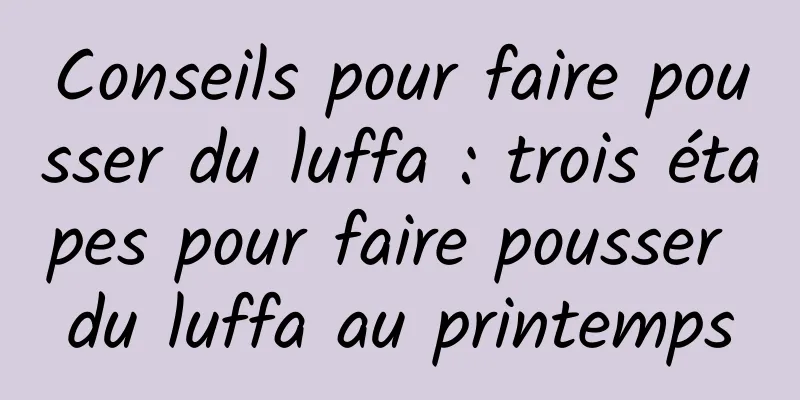 Conseils pour faire pousser du luffa : trois étapes pour faire pousser du luffa au printemps