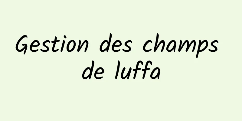 Gestion des champs de luffa