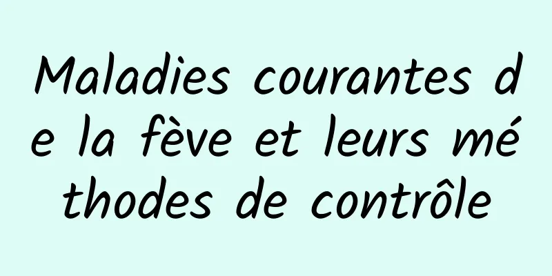 Maladies courantes de la fève et leurs méthodes de contrôle