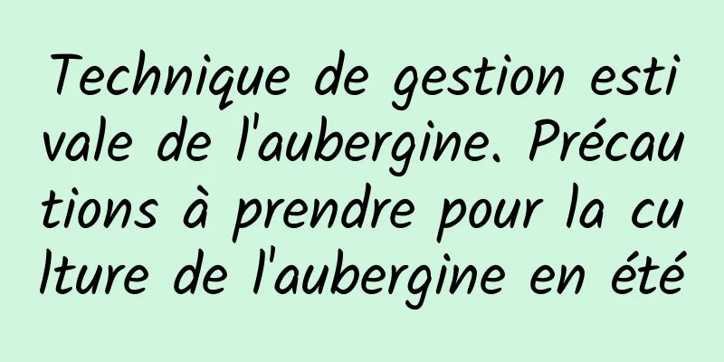 Technique de gestion estivale de l'aubergine. Précautions à prendre pour la culture de l'aubergine en été