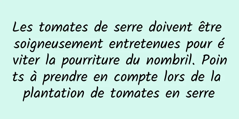 Les tomates de serre doivent être soigneusement entretenues pour éviter la pourriture du nombril. Points à prendre en compte lors de la plantation de tomates en serre