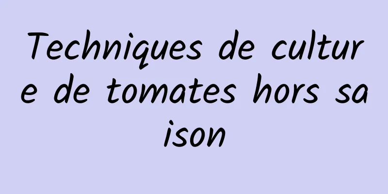 Techniques de culture de tomates hors saison