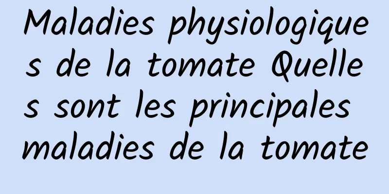 Maladies physiologiques de la tomate Quelles sont les principales maladies de la tomate