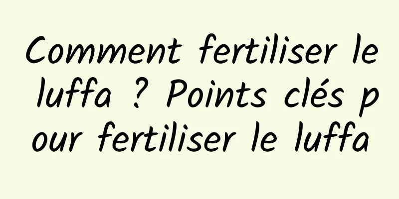 Comment fertiliser le luffa ? Points clés pour fertiliser le luffa