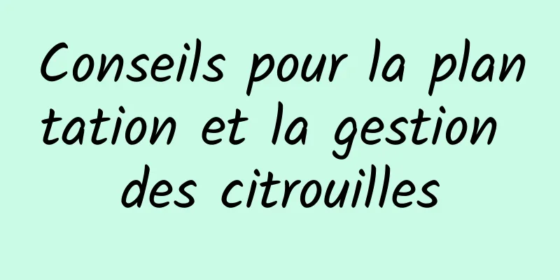 Conseils pour la plantation et la gestion des citrouilles