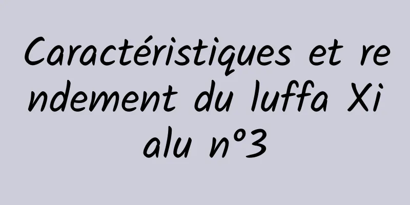 Caractéristiques et rendement du luffa Xialu n°3