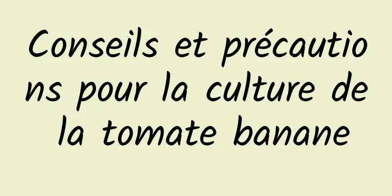 Conseils et précautions pour la culture de la tomate banane