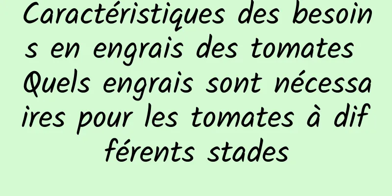 Caractéristiques des besoins en engrais des tomates Quels engrais sont nécessaires pour les tomates à différents stades