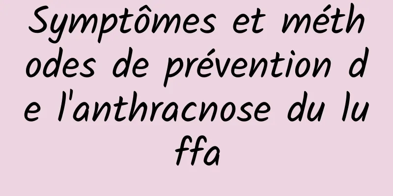 Symptômes et méthodes de prévention de l'anthracnose du luffa