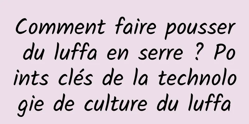 Comment faire pousser du luffa en serre ? Points clés de la technologie de culture du luffa