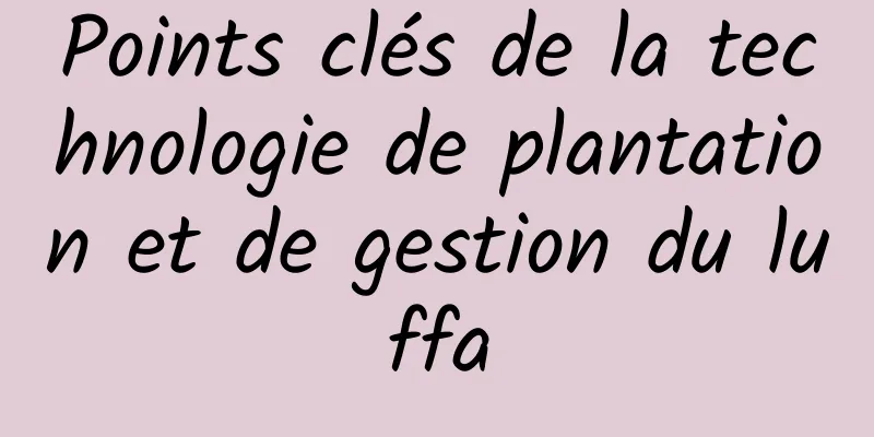 Points clés de la technologie de plantation et de gestion du luffa