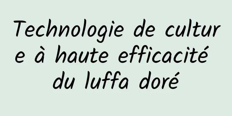 Technologie de culture à haute efficacité du luffa doré