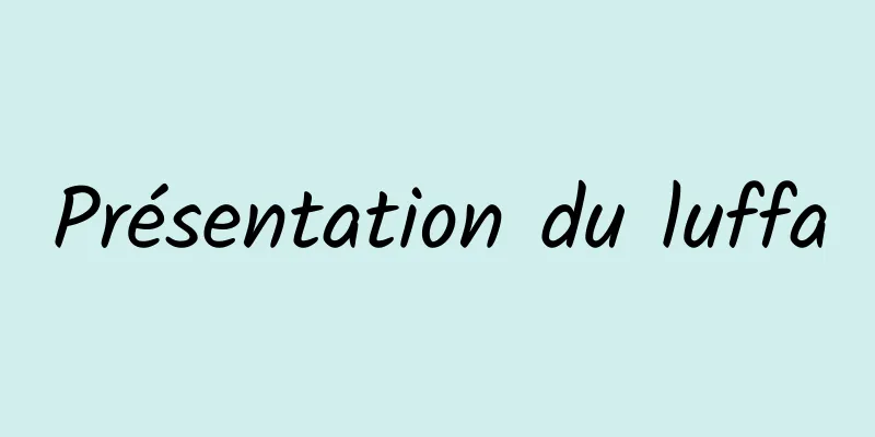 Présentation du luffa