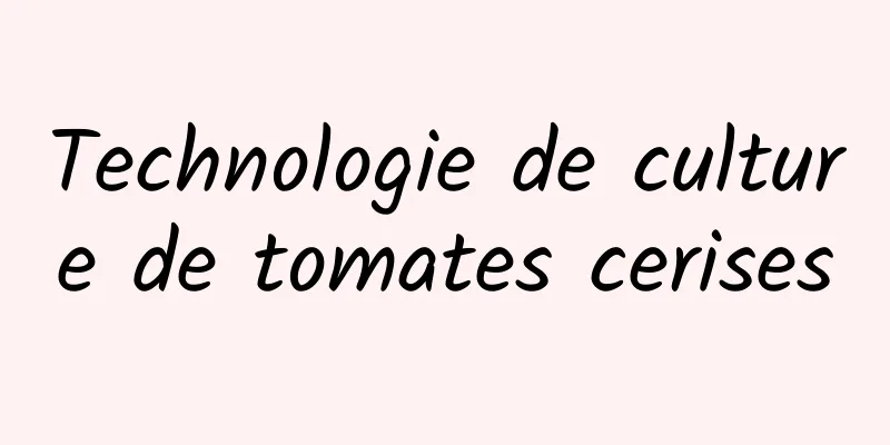 Technologie de culture de tomates cerises