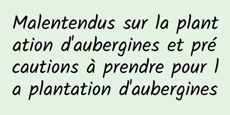 Malentendus sur la plantation d'aubergines et précautions à prendre pour la plantation d'aubergines