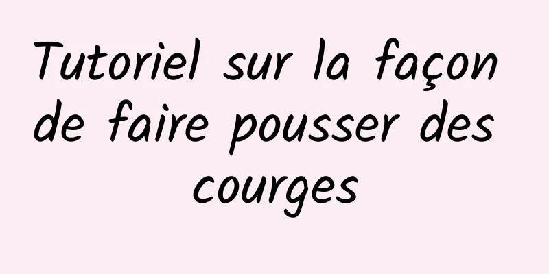 Tutoriel sur la façon de faire pousser des courges