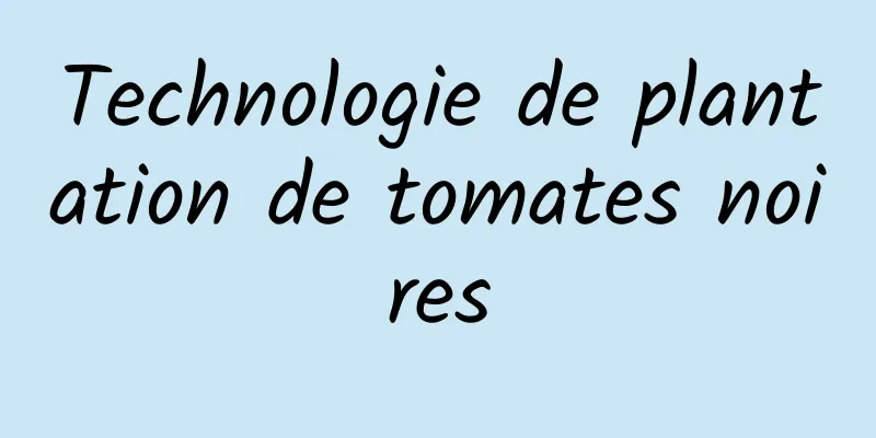 Technologie de plantation de tomates noires