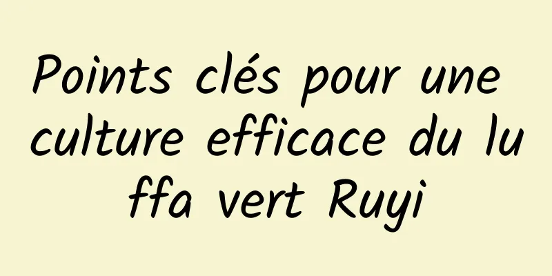 Points clés pour une culture efficace du luffa vert Ruyi