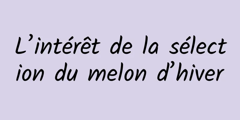 L’intérêt de la sélection du melon d’hiver