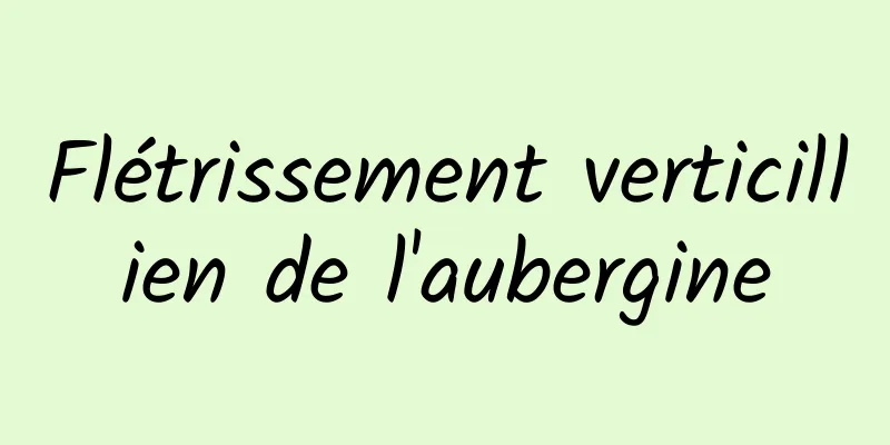 Flétrissement verticillien de l'aubergine