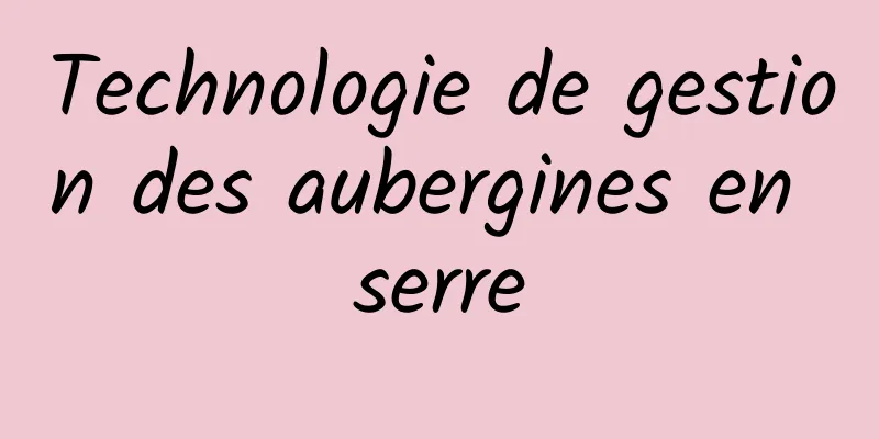 Technologie de gestion des aubergines en serre