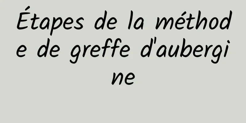 Étapes de la méthode de greffe d'aubergine