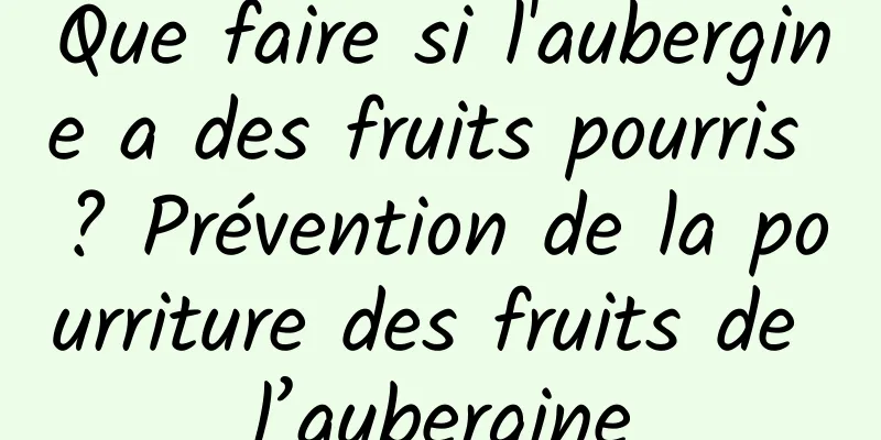 Que faire si l'aubergine a des fruits pourris ? Prévention de la pourriture des fruits de l’aubergine