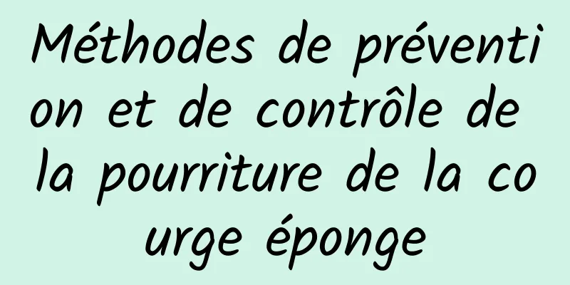 Méthodes de prévention et de contrôle de la pourriture de la courge éponge