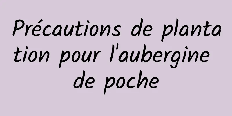 Précautions de plantation pour l'aubergine de poche