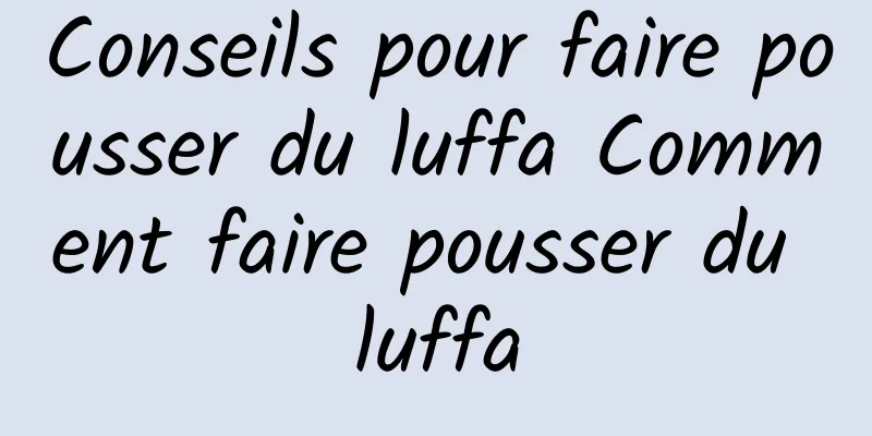 Conseils pour faire pousser du luffa Comment faire pousser du luffa