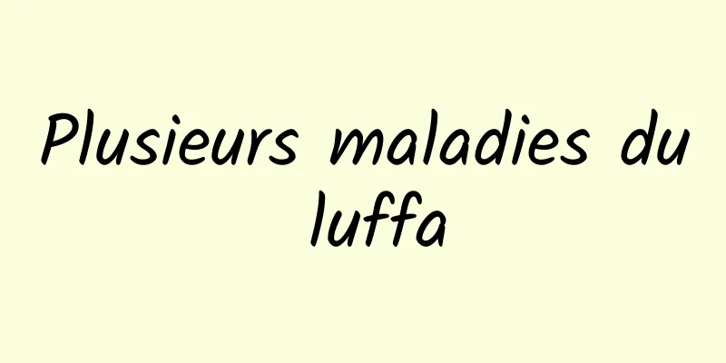 Plusieurs maladies du luffa