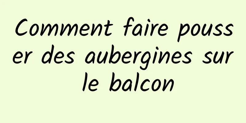 Comment faire pousser des aubergines sur le balcon