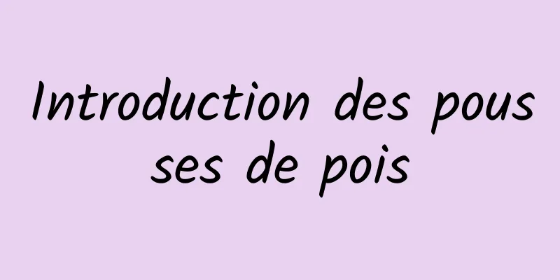 Introduction des pousses de pois