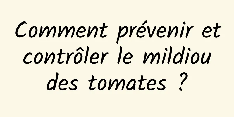 Comment prévenir et contrôler le mildiou des tomates ?