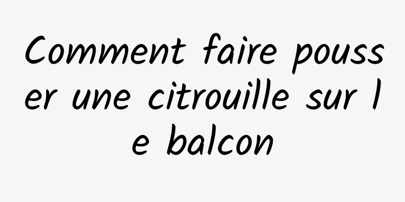 Comment faire pousser une citrouille sur le balcon