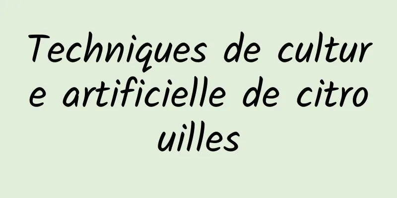 Techniques de culture artificielle de citrouilles