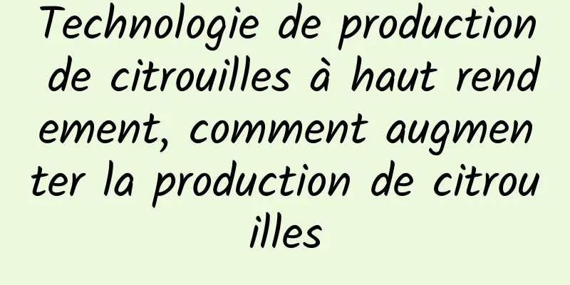 Technologie de production de citrouilles à haut rendement, comment augmenter la production de citrouilles