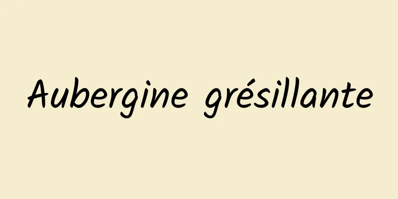 Aubergine grésillante