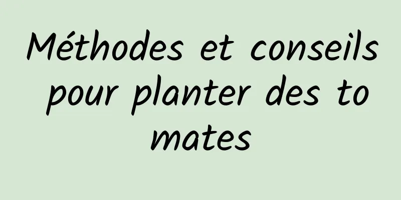 Méthodes et conseils pour planter des tomates