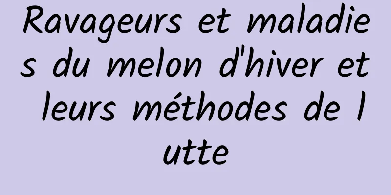 Ravageurs et maladies du melon d'hiver et leurs méthodes de lutte