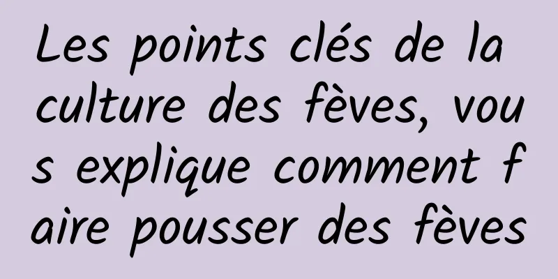 Les points clés de la culture des fèves, vous explique comment faire pousser des fèves