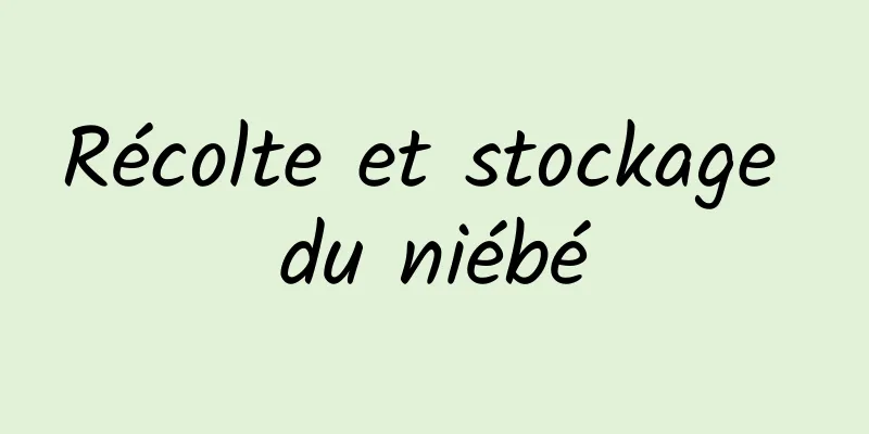 Récolte et stockage du niébé