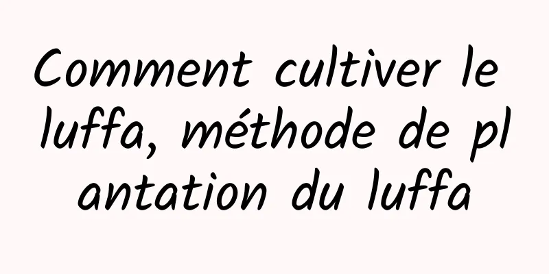 Comment cultiver le luffa, méthode de plantation du luffa