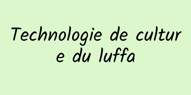 Technologie de culture du luffa